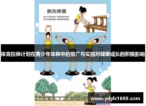 体育拉伸计划在青少年体教中的推广与实施对健康成长的积极影响